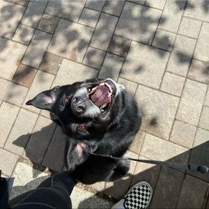 Meet your Posher, Matea